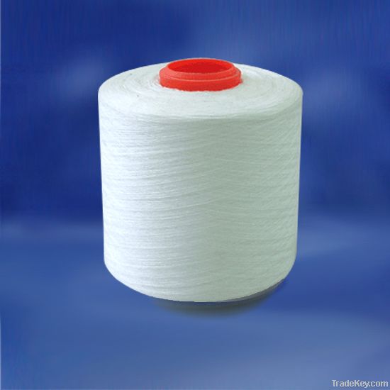 Nylon Yarn