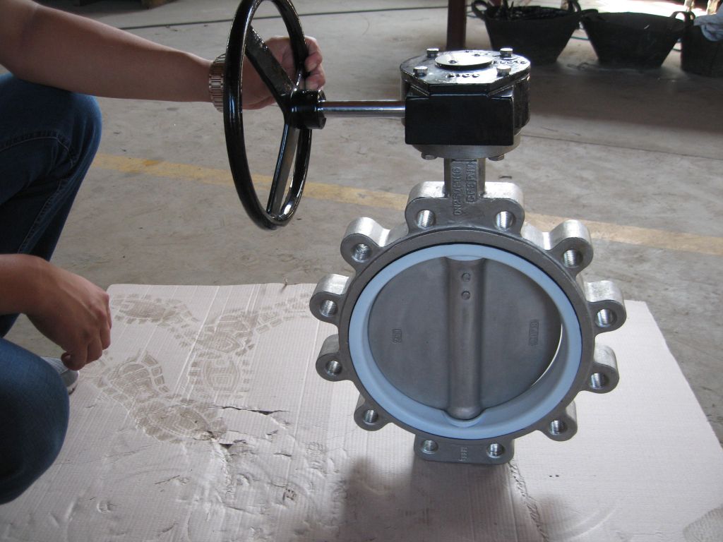 butterfly valve with geabox