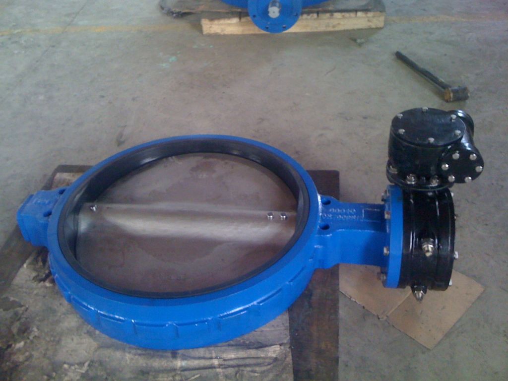 butterfly valve