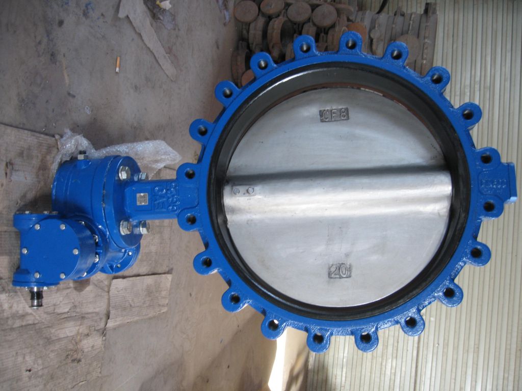 butterfly valve with geabox