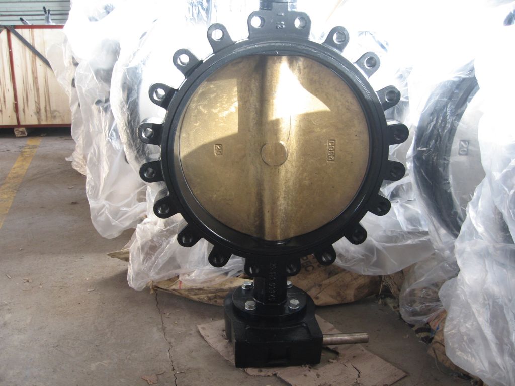 butterfly valve with geabox