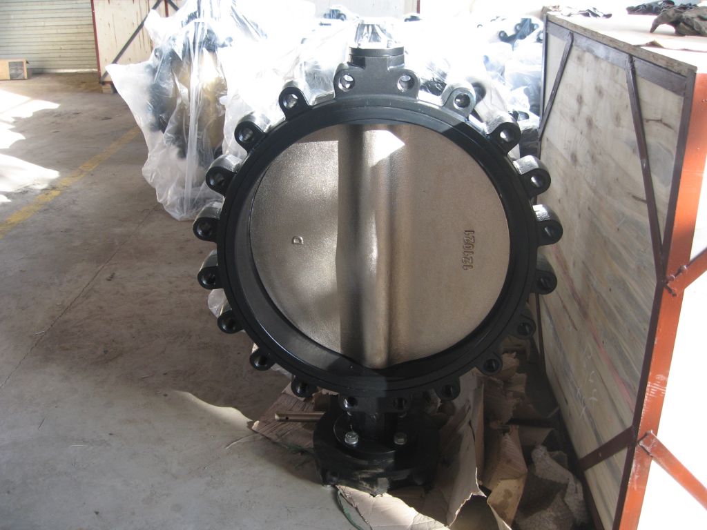 butterfly valve with geabox