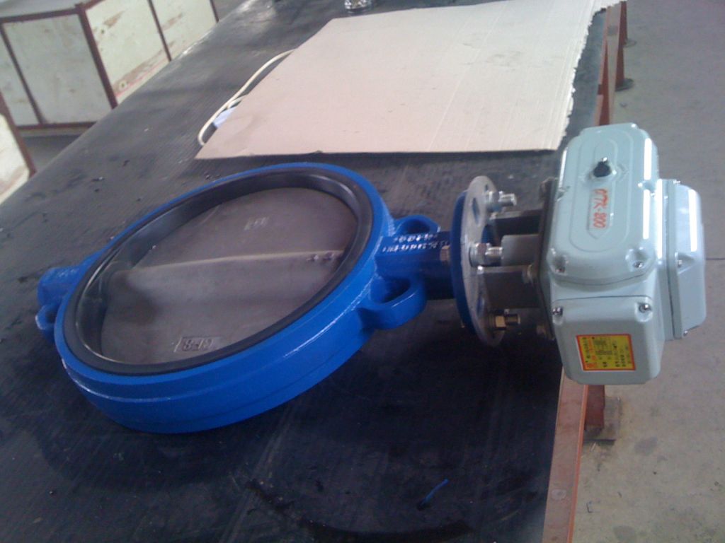 butterfly valve