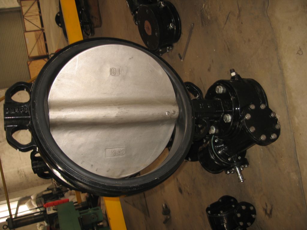 butterfly valve with geabox