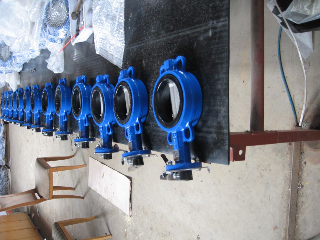 butterfly valve