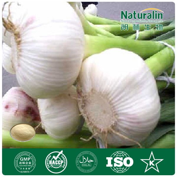 Garlic extract 