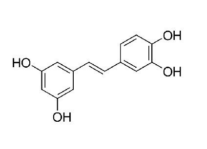 Sell high quality resveratrol and natural plant extract