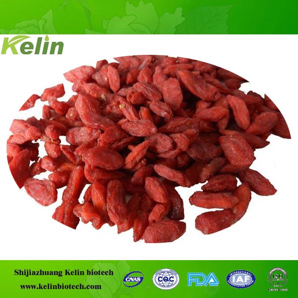 China manufacturer supply hot sale best price dried goji berry