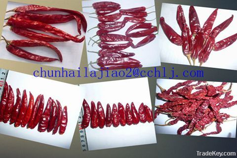 dried red chili