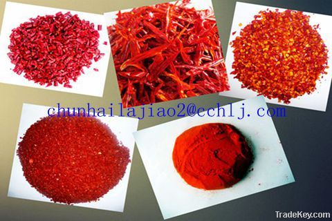 Yidu red chili