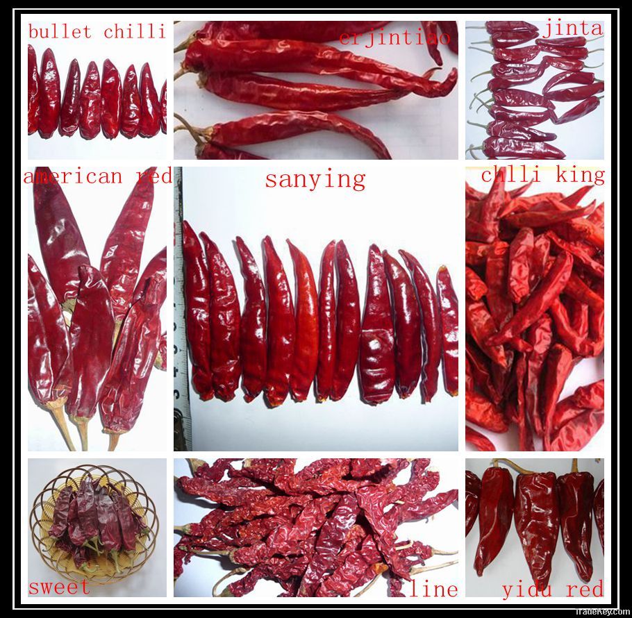 dry red Sanying(chaotian) chilli