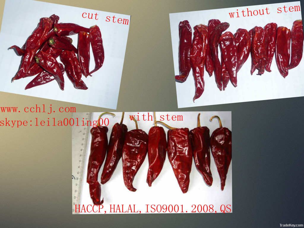 Dry red Yidu Chili