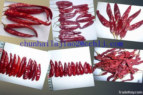 best seller small dry red chilli-Sanying (chaotian)