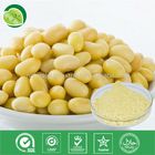 Soybean Isoflavones