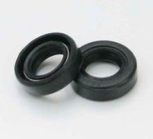 Electric machina seals Supplier