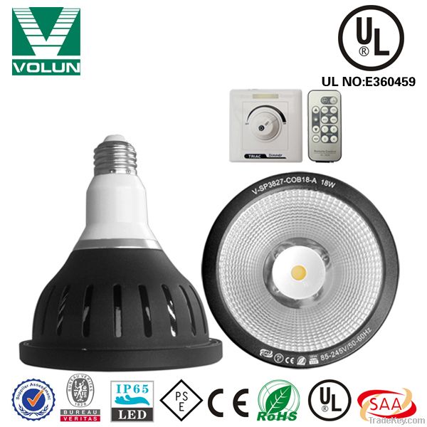 18W COB IP65 Dimmable LED Par38