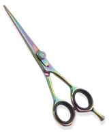 Professional Hair Styling Scissors