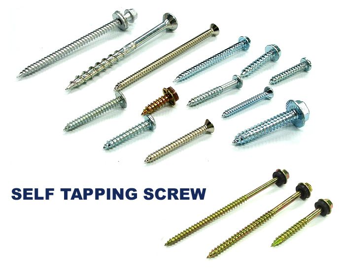 self tapping screw