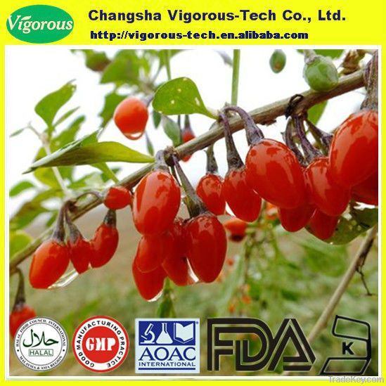 Wolfberry Extract(Goji berry extract)