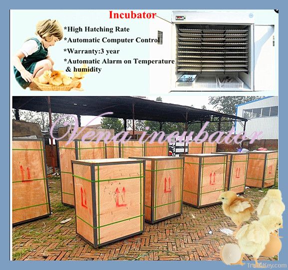 1000 Eggs Fully Automatic Egg Incubator on Hot Sale