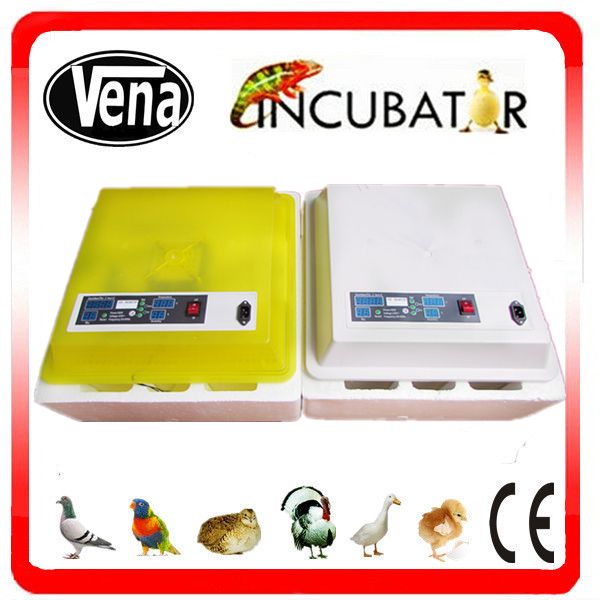 Professional mini incubators for hatching eggs