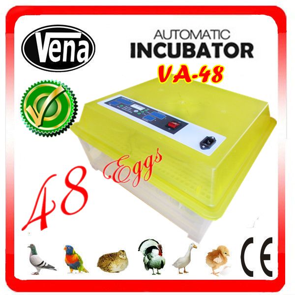 Family use small mini egg incubator for sale