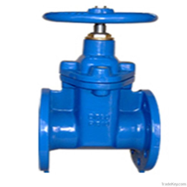 BS Gate Valve