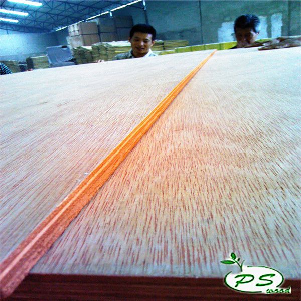 two time hot press plywood/bintangor plywood