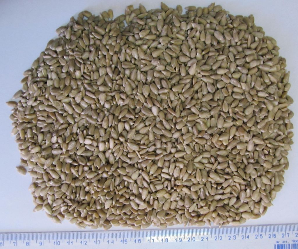 hulled sunflower kernels