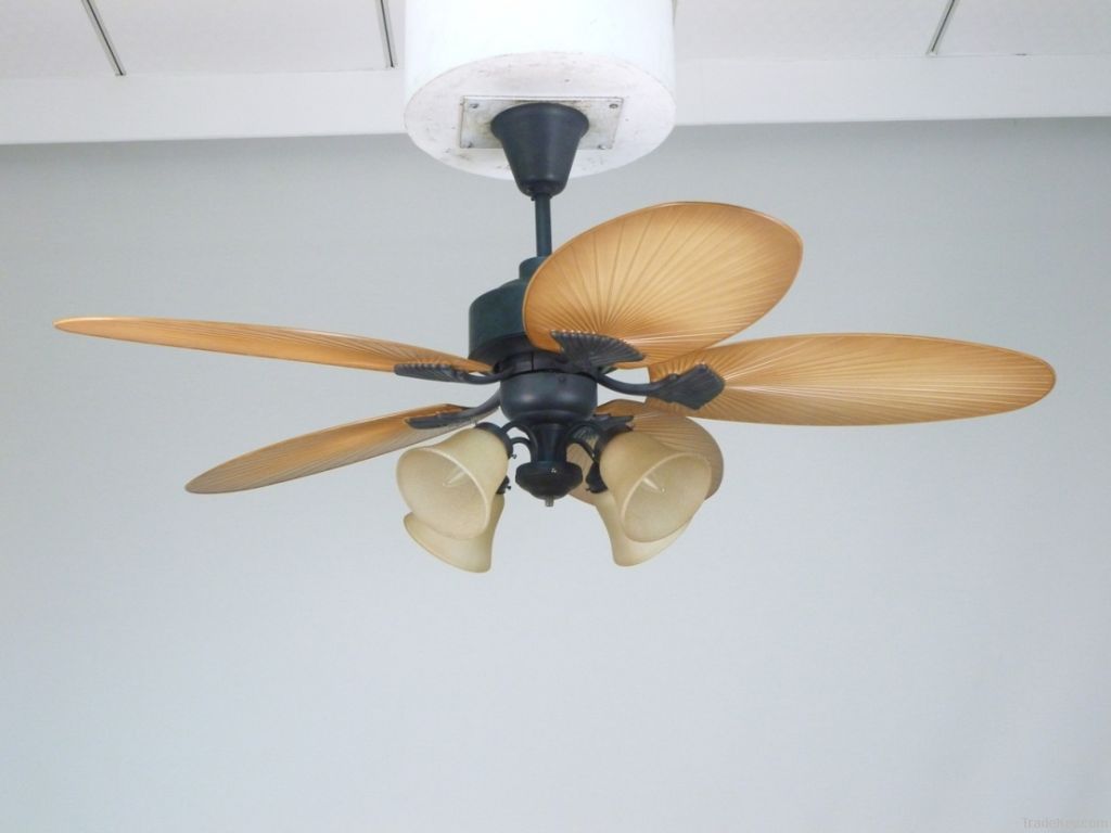 Ceiling Fan