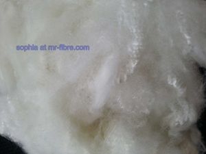 Recycled polyester staple fibre / PSF 1.4D