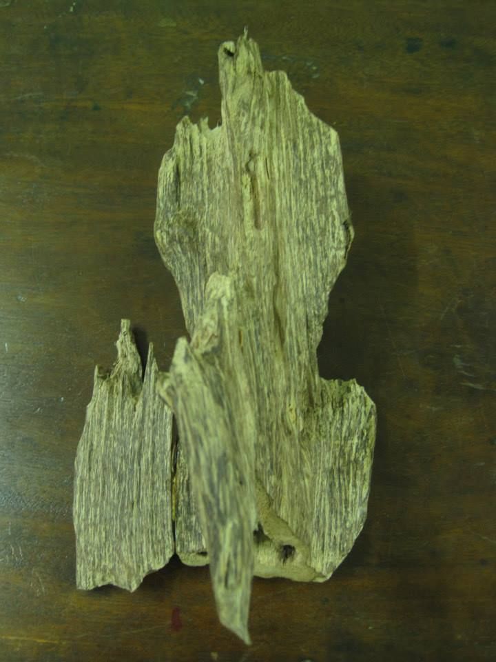 agarwood chips