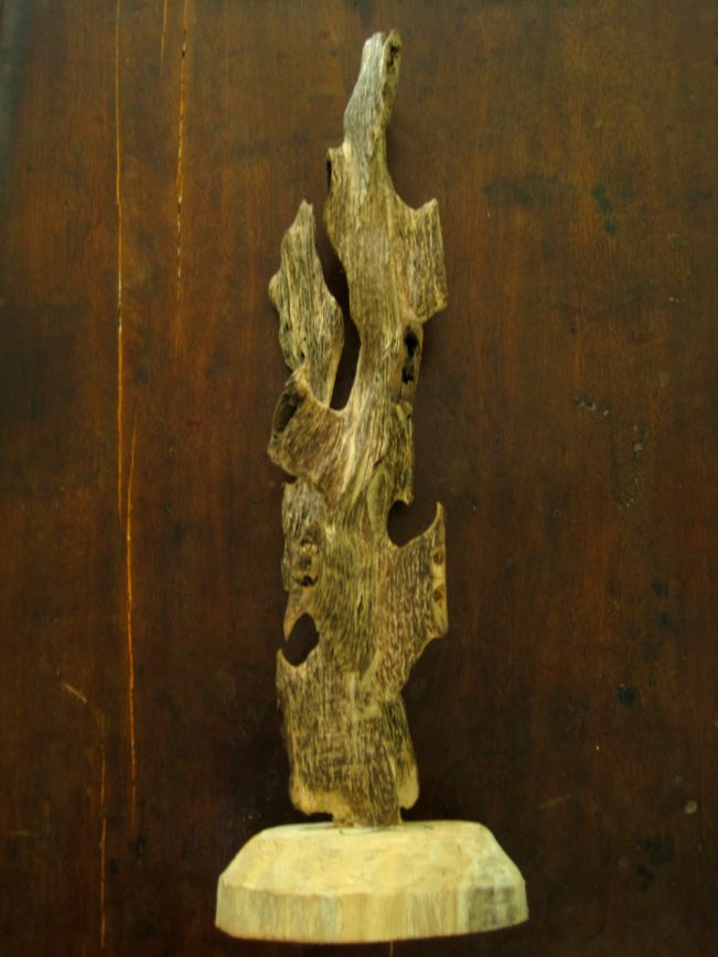 Agarwood