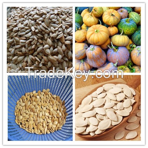 500kg/h Pumpkin seeds separator/seeds harvester /pumpkin seeds extracting machine whatsapp008615838159361
