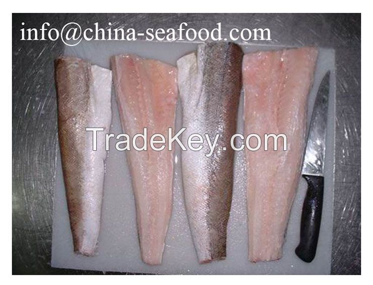 frozen hake fillet Hake in fish 161019