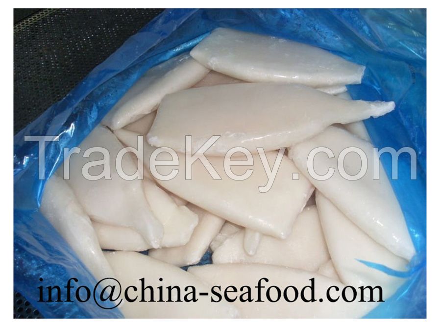 chinese supplier for all size frozen squid product 161125