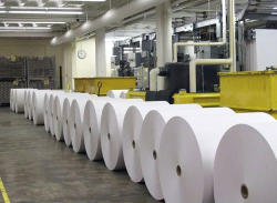 Thermal Paper