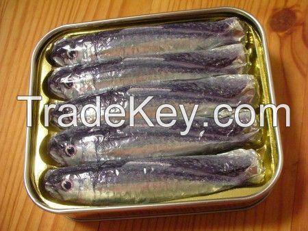 Fresh Canned sardine