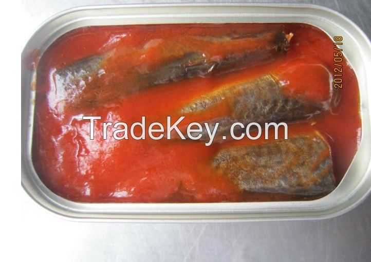 Fresh Canned Mackerel