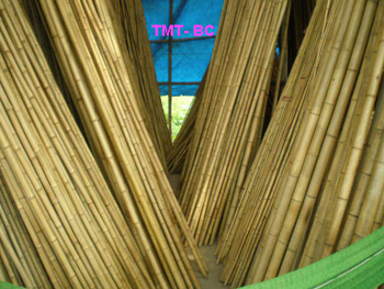 Vietnam bamboo canes/ poles