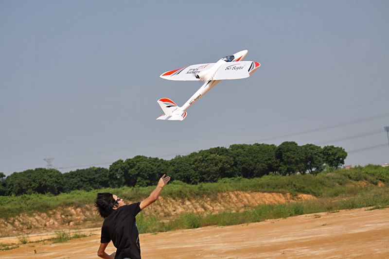 RC-6 chan-Skysurfer 2000mm (Brushless version)-airplane model/RTF/ARF/PNP/KIT