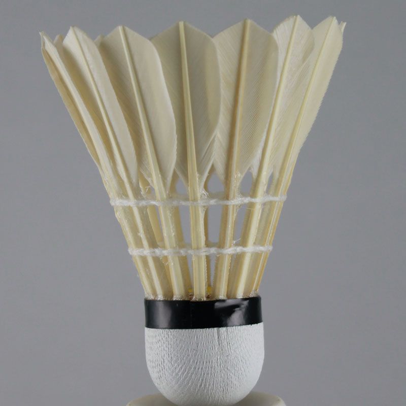 Professional manufacturer TL-401 goose feather badminton shuttlecocks