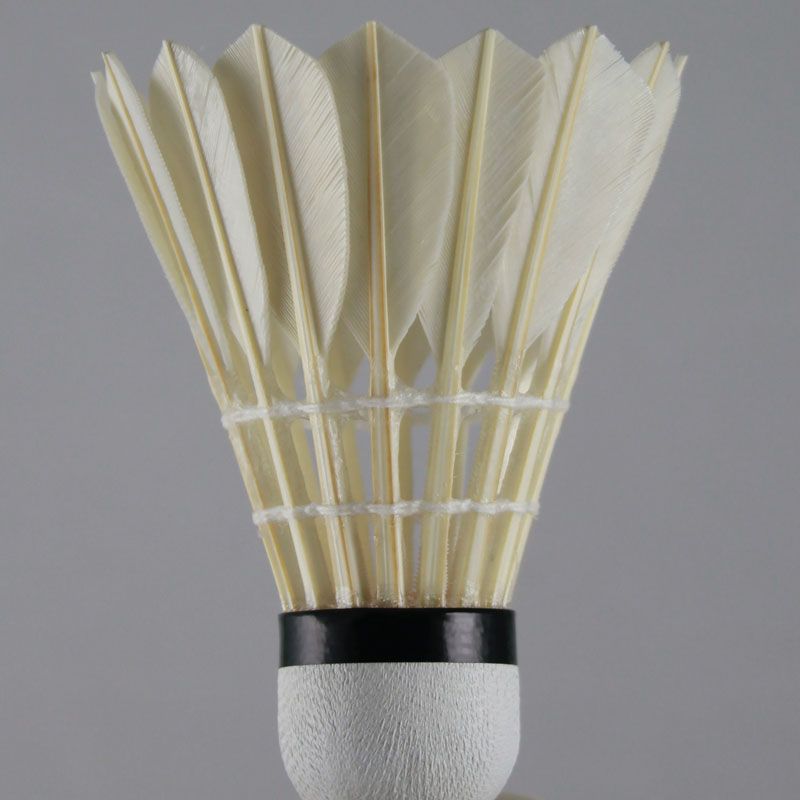 Hot Sale item TL-301 badminton shuttlecock for Competition