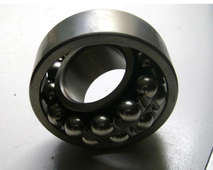 Self-aligning Ball Bearing 2302