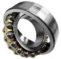 Self-aligning Ball Bearing 2304