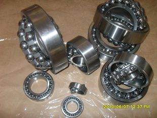 Self-aligning Ball Bearing 1307