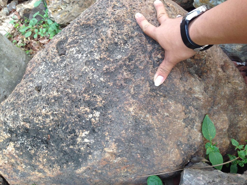 Quartzite, wood petrified, agate stone, crystal, rough export quality stone