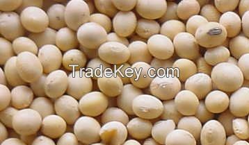Animal Feed Soybean Meal, Corn Meal, Wheat Bran