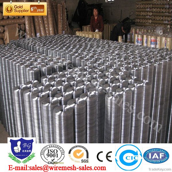 welded Wire mesh &high  quality