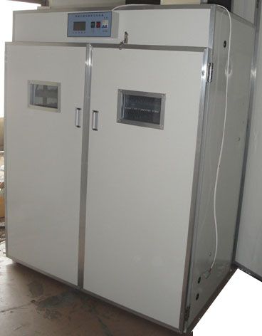 high quality new patent  egg incubator for 2640 capacity  dzhxsmtrade02@foxmail.com